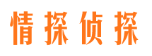 元谋市私家侦探